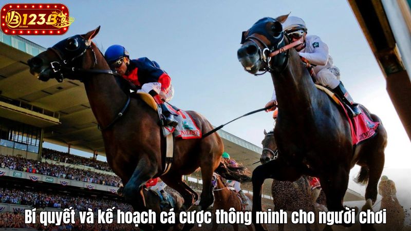 Bí quyết và kế hoạch cá cược thông minh cho người chơi