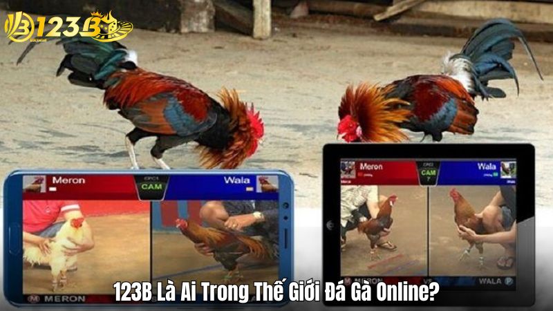 123B Là Ai Trong Thế Giới Đá Gà Online?