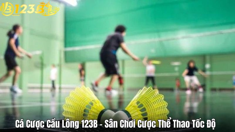 Cá Cược Cầu Lông 123B – Sân Chơi Cược Thể Thao Tốc Độ