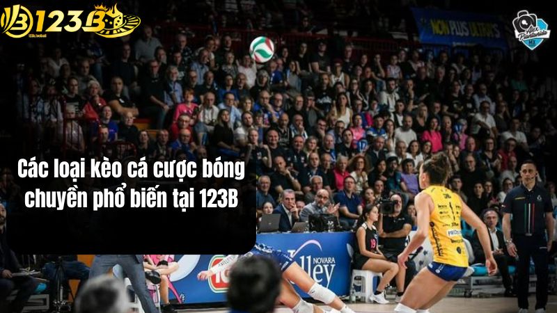 Các loại kèo cá cược bóng chuyền phổ biến tại 123B