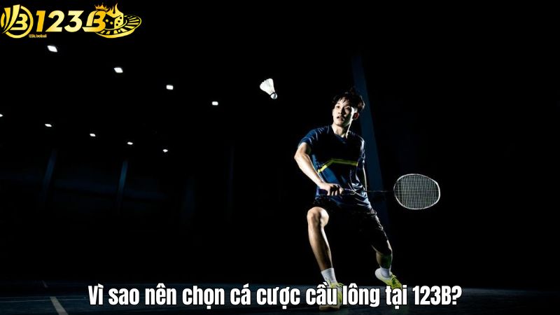 Vì sao nên chọn cá cược cầu lông tại 123B?